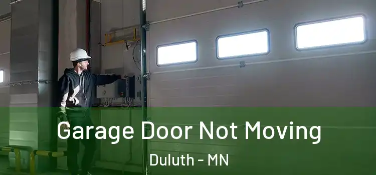  Garage Door Not Moving Duluth - MN