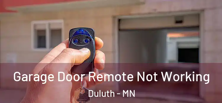  Garage Door Remote Not Working Duluth - MN