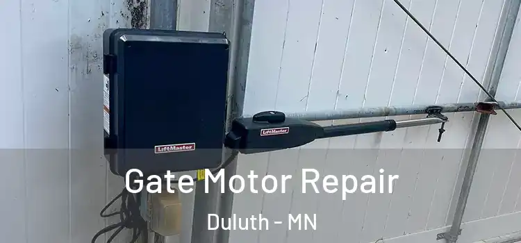  Gate Motor Repair Duluth - MN