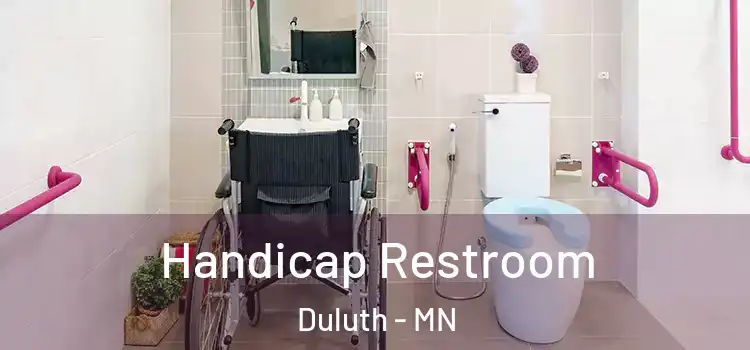  Handicap Restroom Duluth - MN