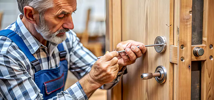 Mortise Replacement Lock Duluth