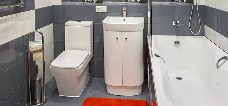 Hansgrohe Shaving Mirror Duluth