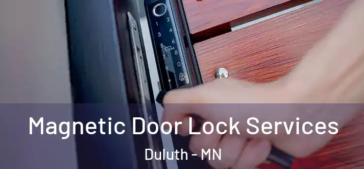 Magnetic Door Lock Services Duluth - MN
