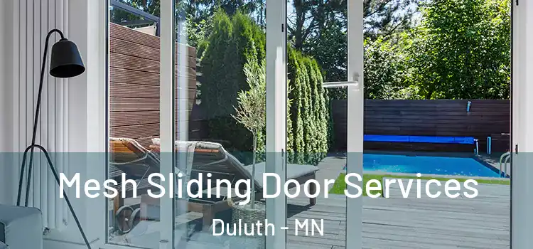 Mesh Sliding Door Services Duluth - MN