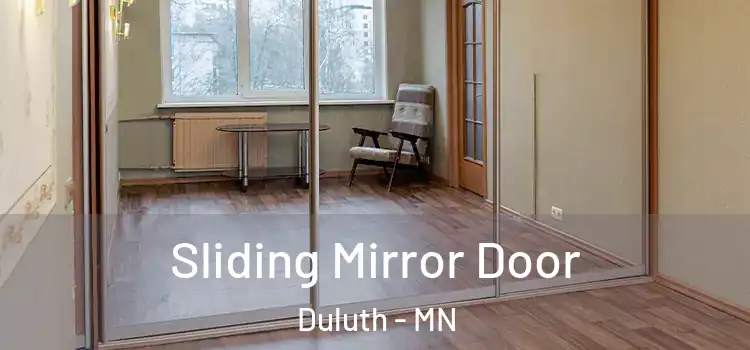  Sliding Mirror Door Duluth - MN