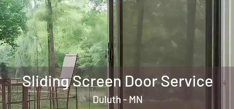  Sliding Screen Door Service Duluth - MN